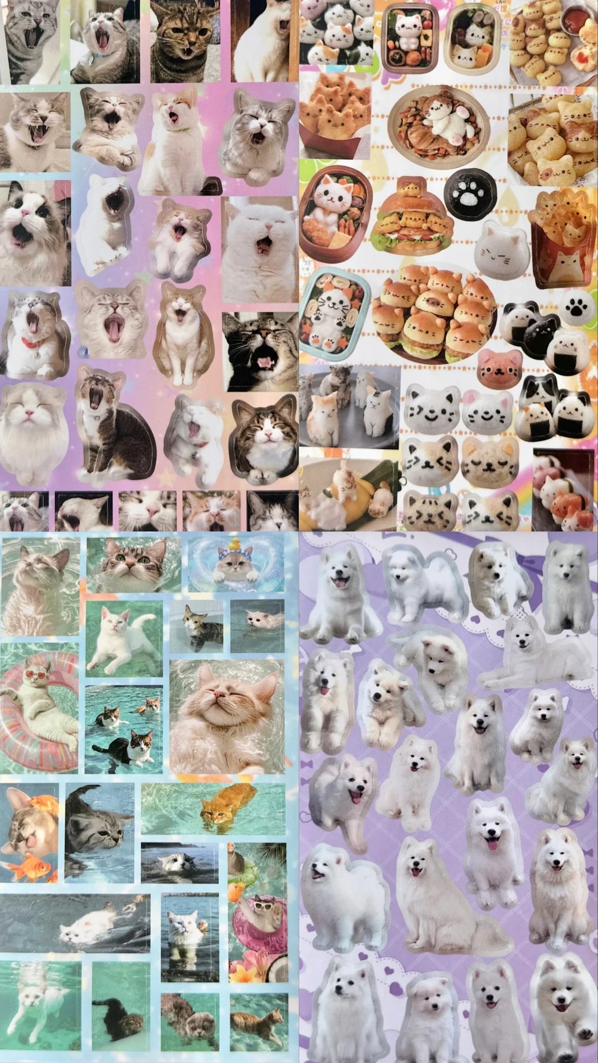 sticker book : cats n dogs