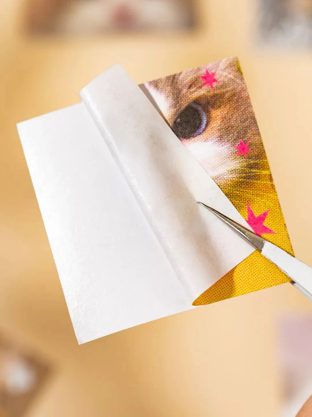 mini sticker book : cats