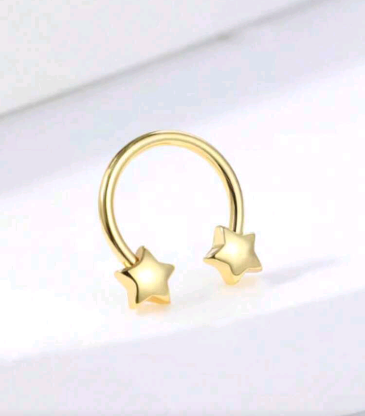 star studs/earrings/septum piercing
