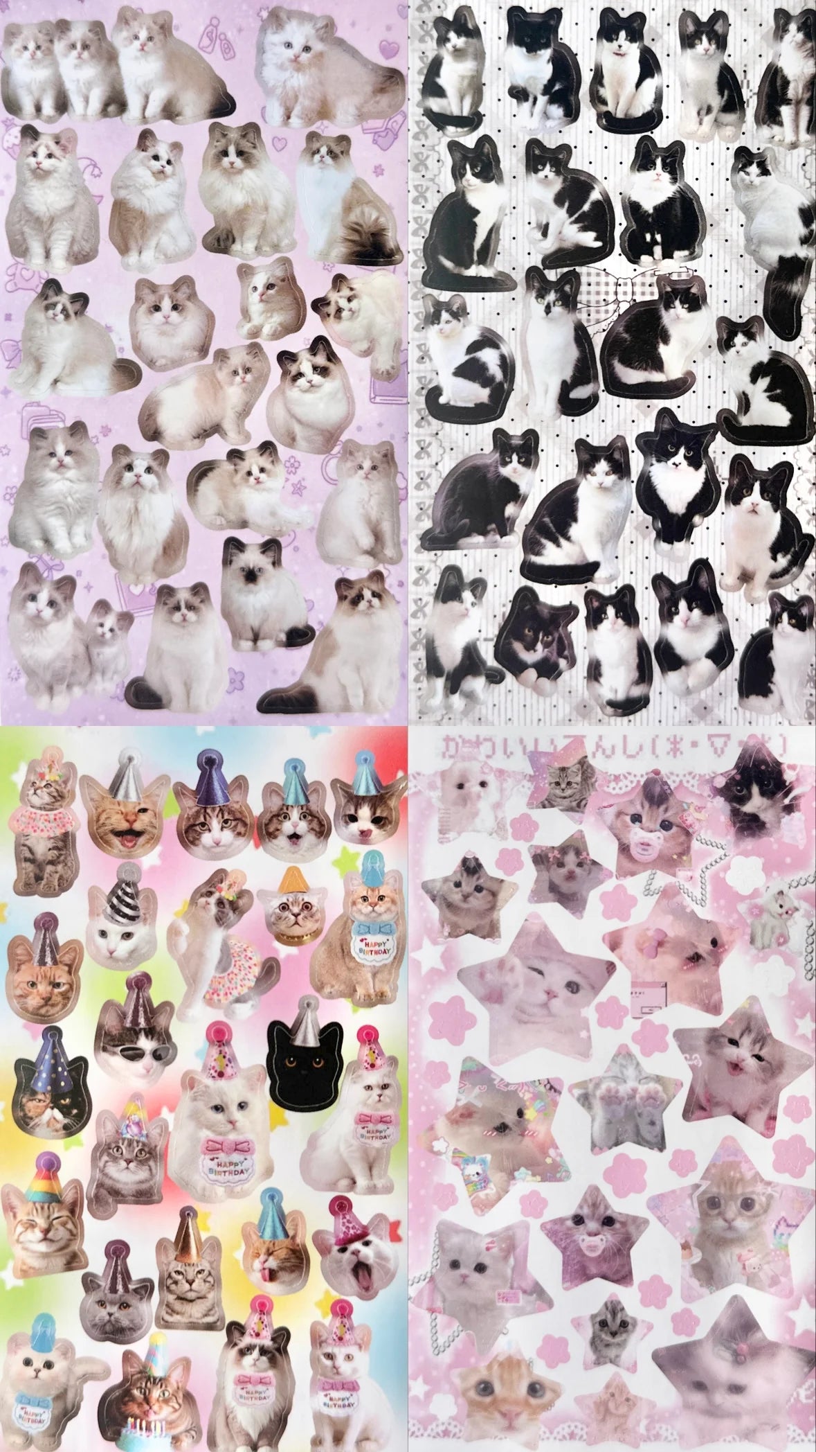 sticker book : cats n dogs