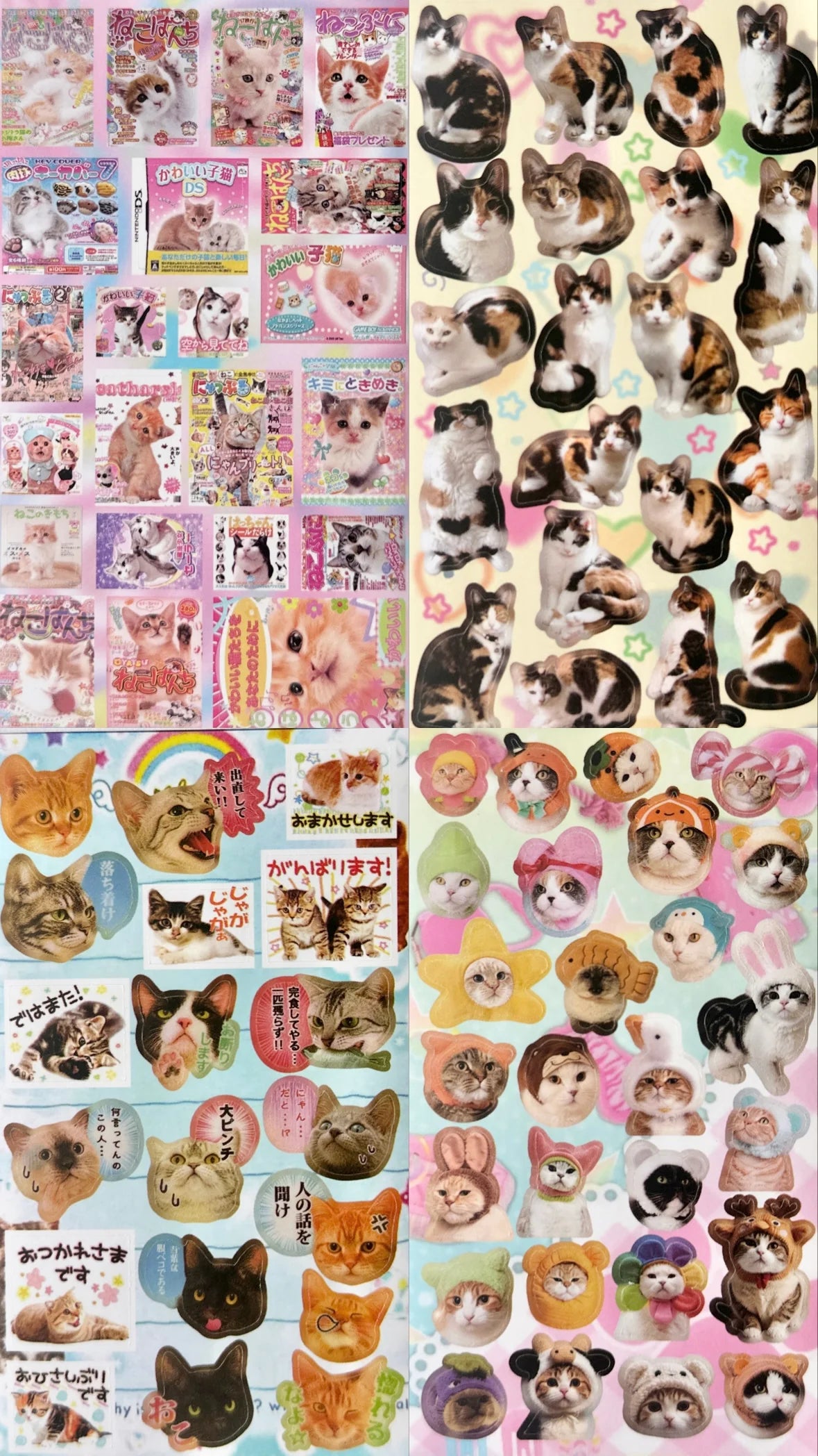 sticker book : cats n dogs