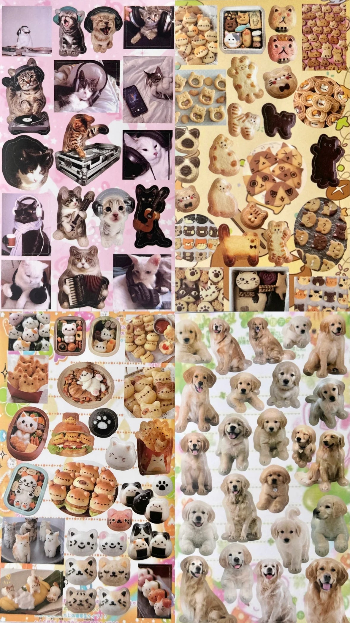 sticker book : cats n dogs