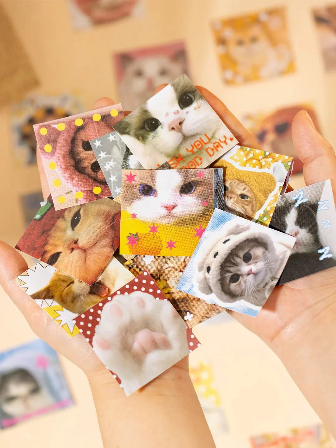 mini sticker book : cats