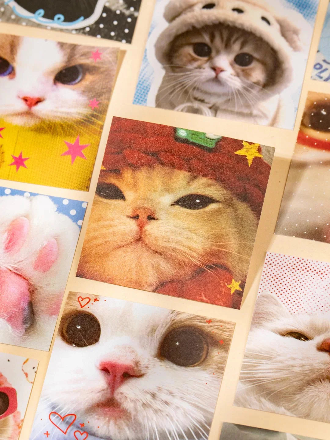 mini sticker book : cats