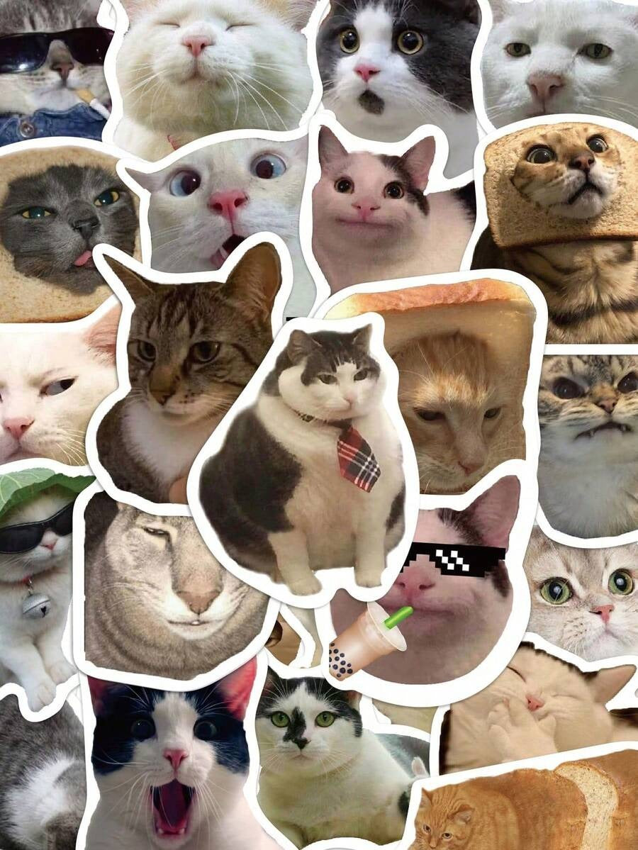 cat sticker pack