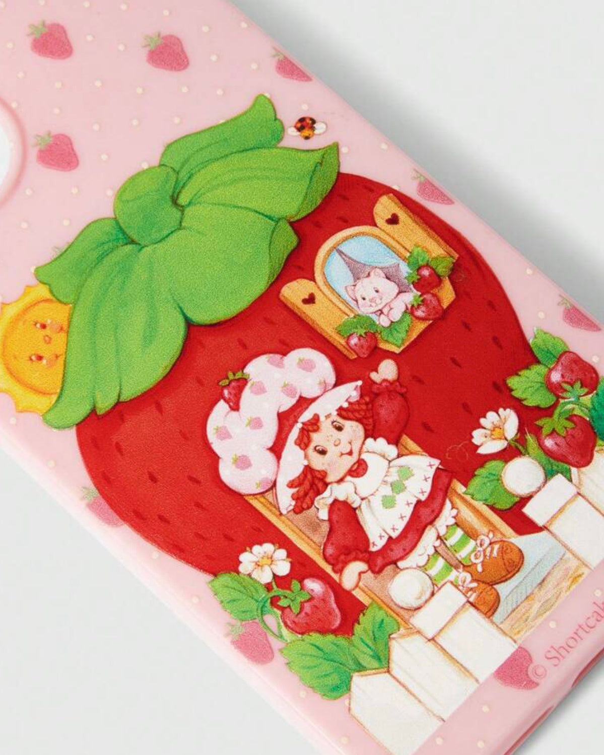 strawberry shortcake case