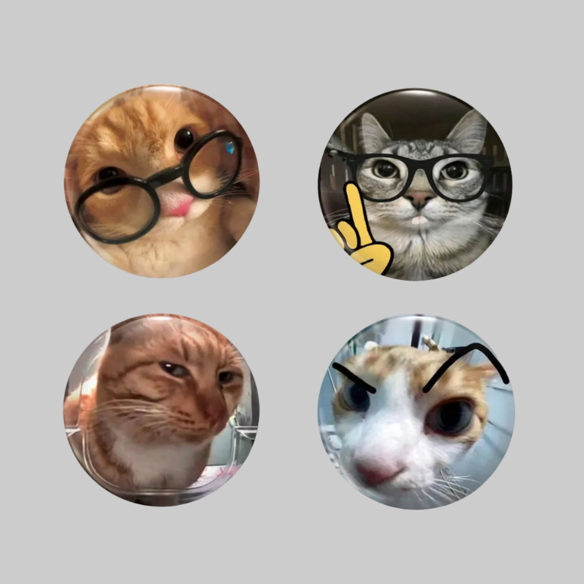 cat meme badge