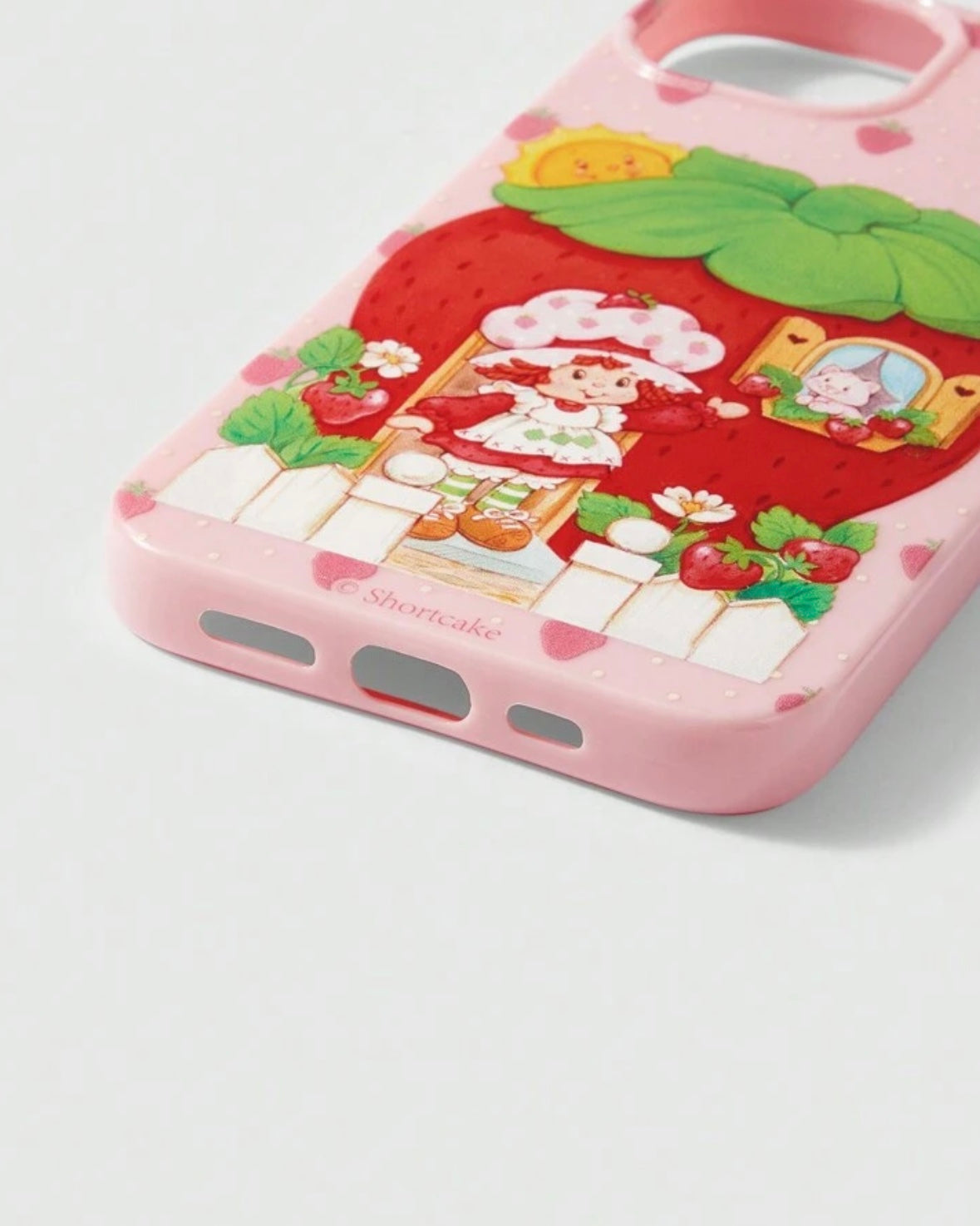 strawberry shortcake case