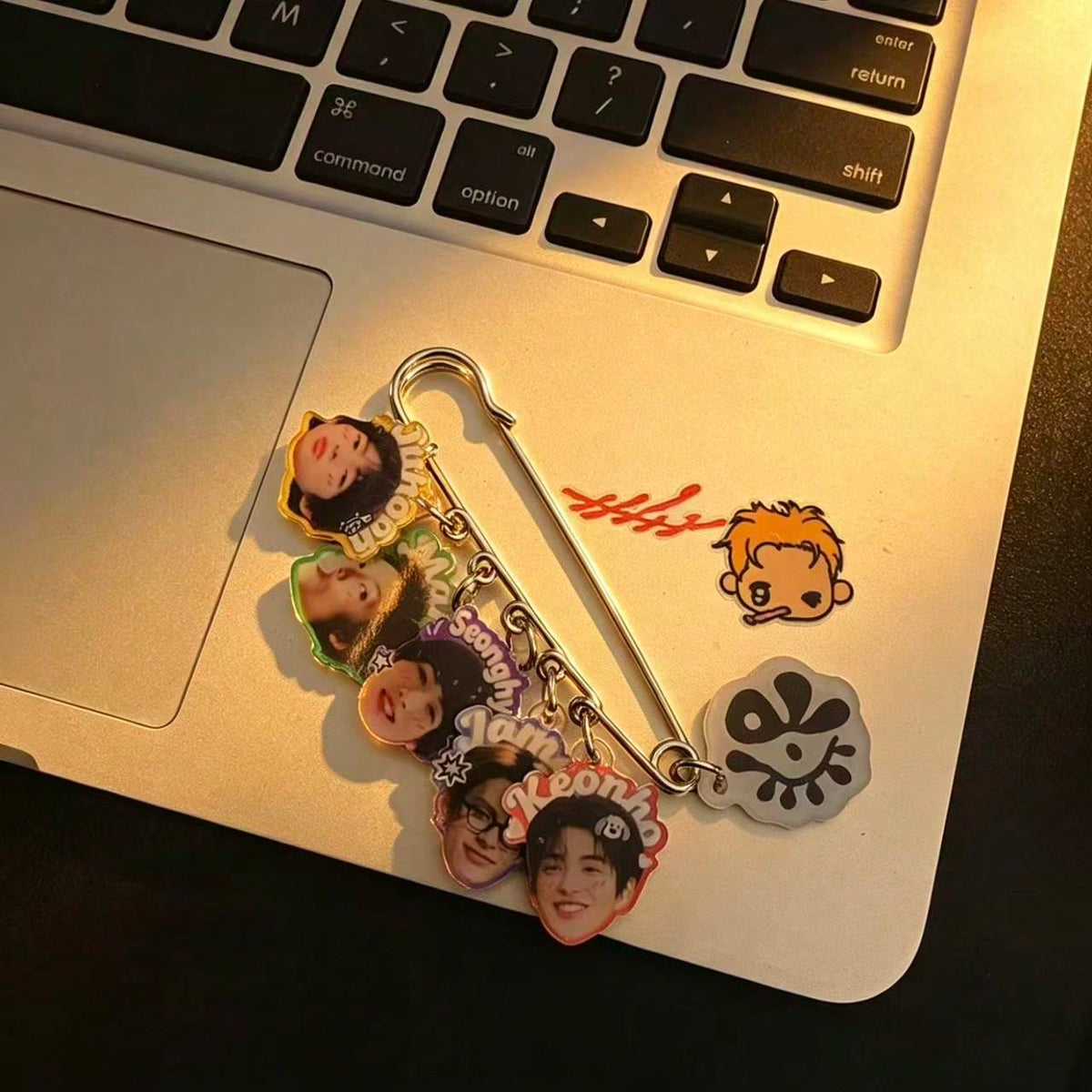cortis acrylic large brooch pin