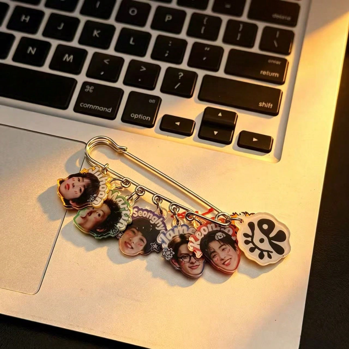 cortis acrylic large brooch pin