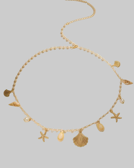 seashell waist chain