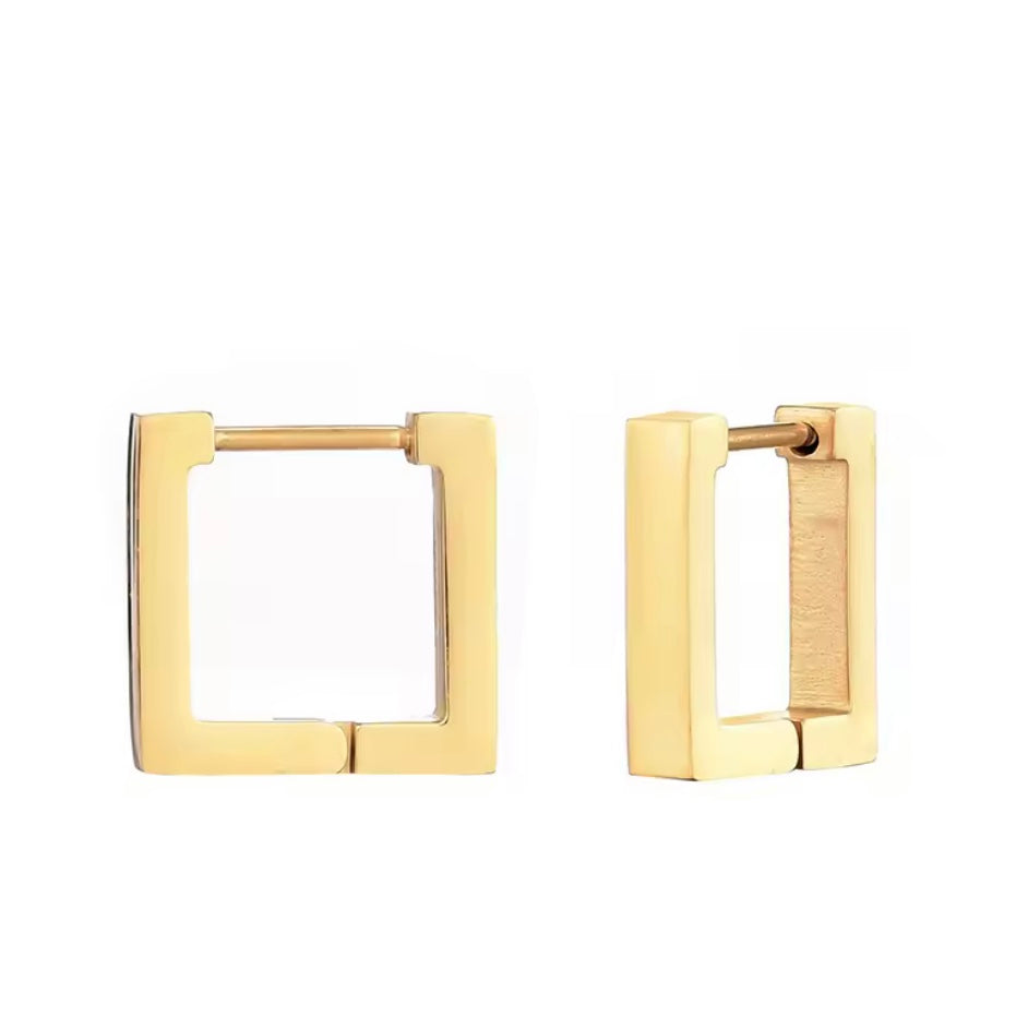 earrings | hoops | nose pin (stainless steel)
