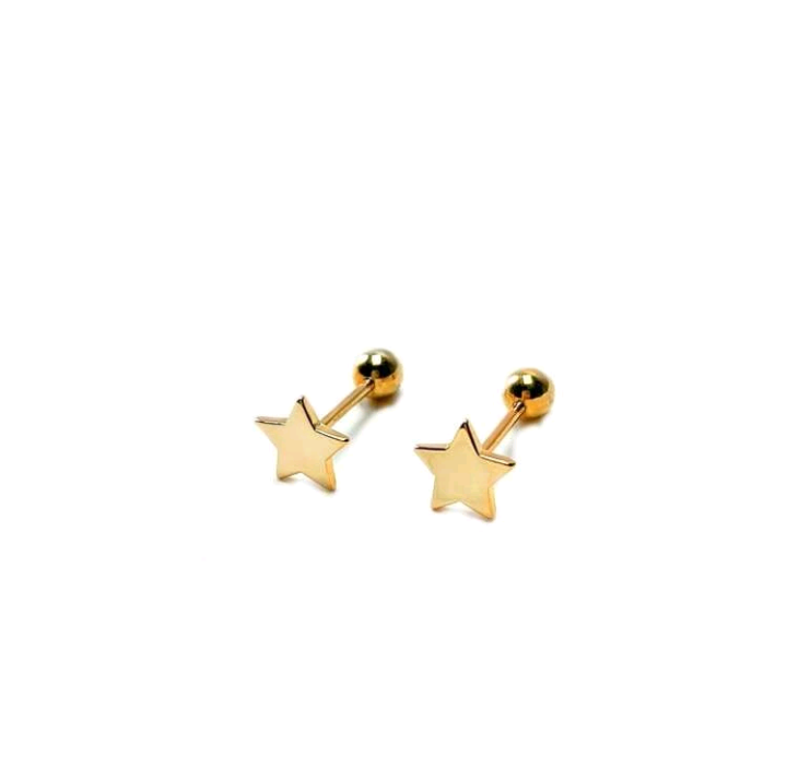 star studs/earrings/septum piercing